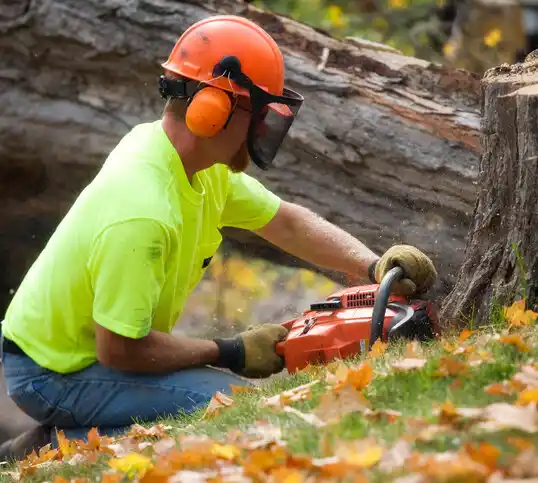 tree services Crestview